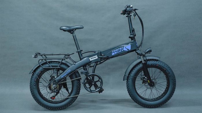 Электровелосипед EasyRider TROPHY BULL 500W48V10Ah | veloRu - официальный дилер в России