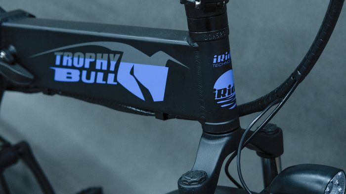 Электровелосипед EasyRider TROPHY BULL 500W48V10Ah | veloRu - официальный дилер в России