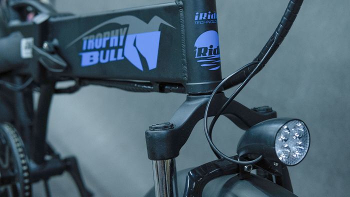Электровелосипед EasyRider TROPHY BULL 500W48V10Ah | veloRu - официальный дилер в России